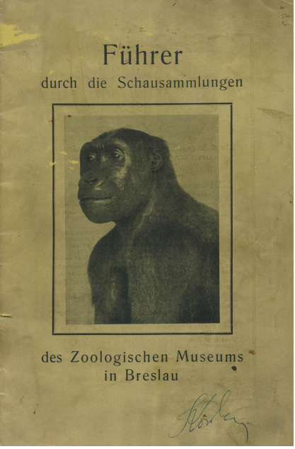 przewodnik po muzeum z 1925 roku w języku niemieckim