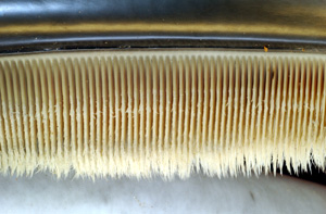 fiszbiny wieloryba